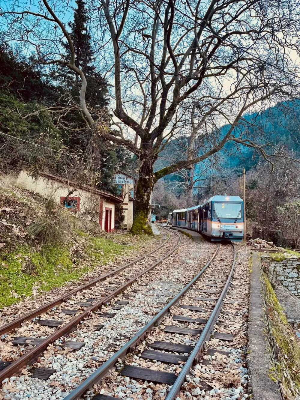 Οδοντωτός στη διαδρομή μέσα στο τοπίο του Βουραϊκού