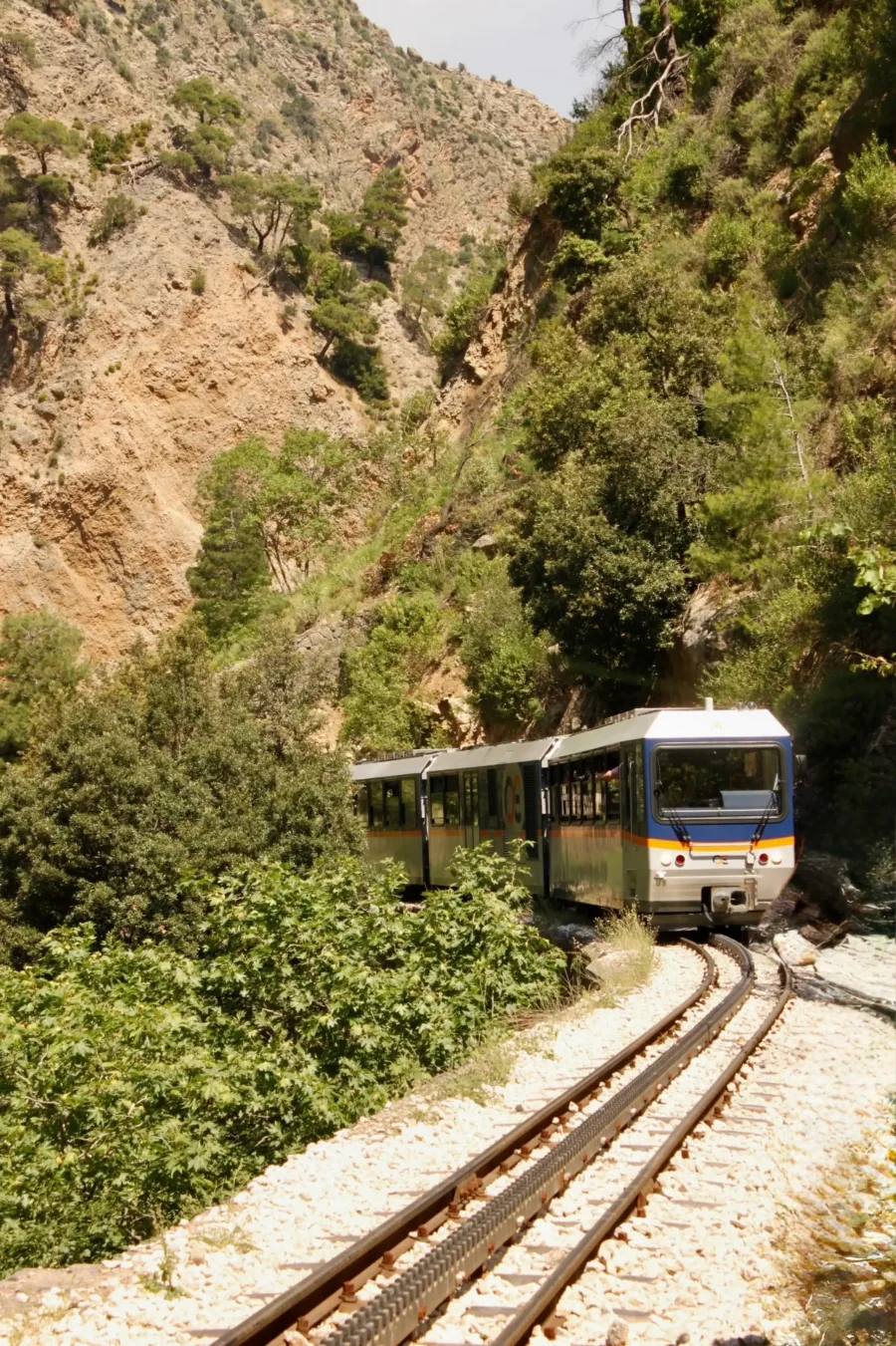 Οδοντωτός μέσα σε καταπράσινο τμήμα του φαραγγιού