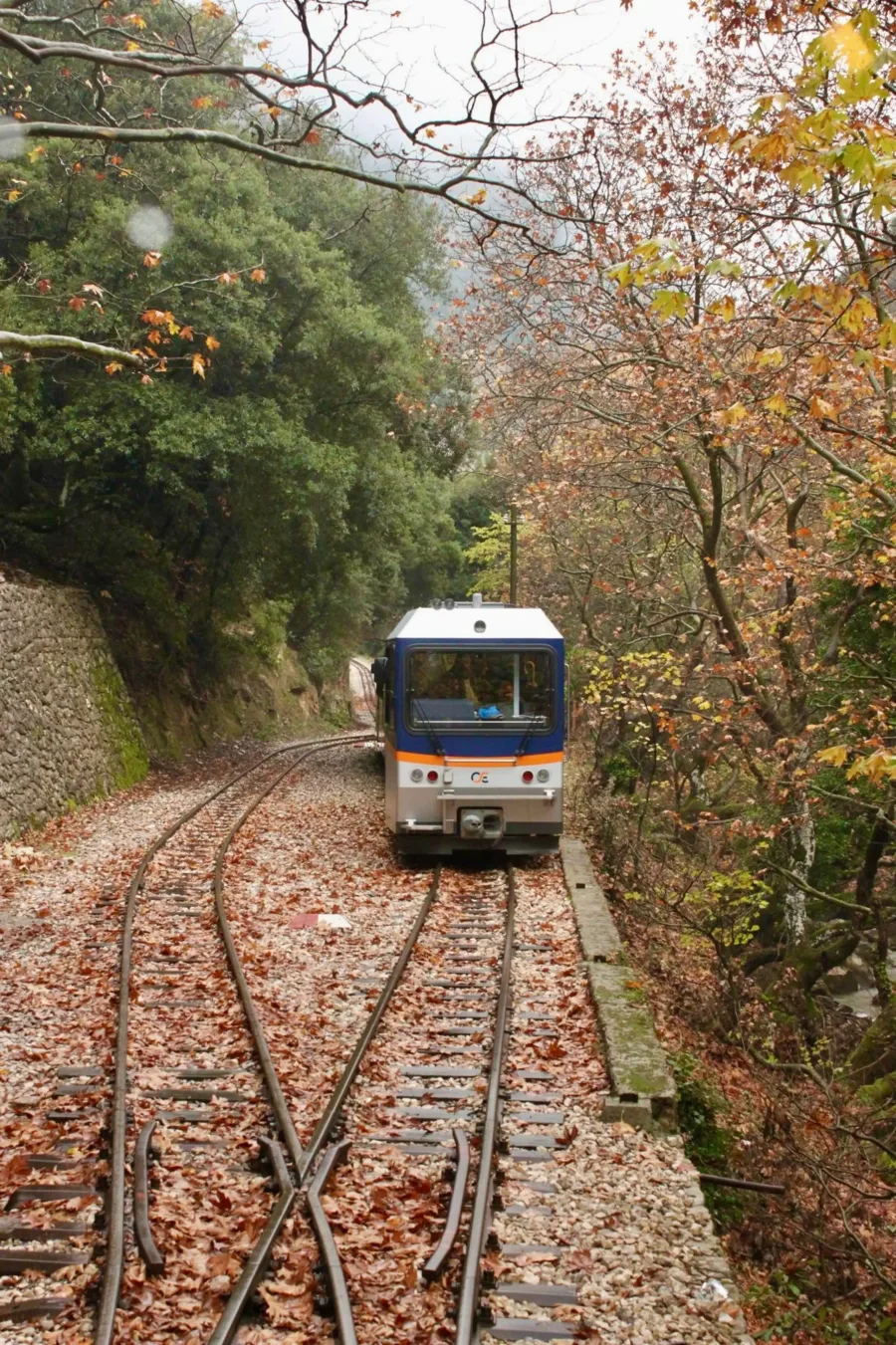 Οδοντωτός σε στενό πέρασμα του Βουραϊκού