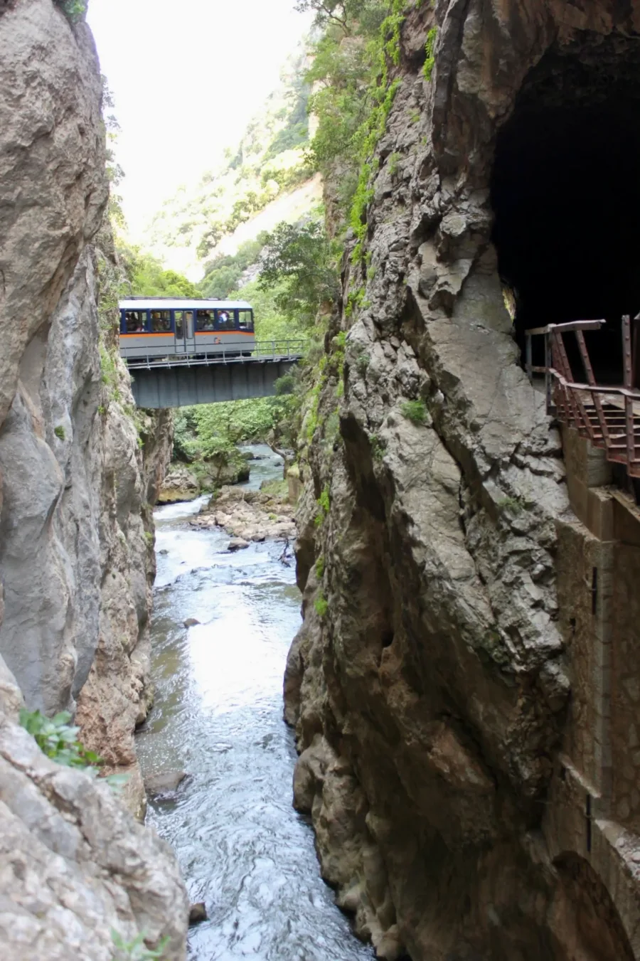 Συρμός του Οδοντωτού ανάμεσα σε βράχια και πλατάνια